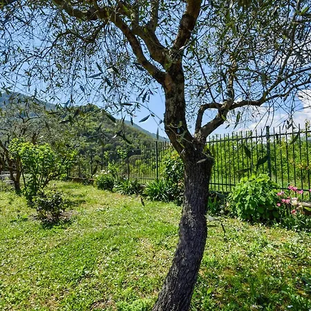 Silvia Dom wakacyjny Coreglia Ligure